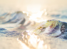 Pacific%20pulse%20yt%20banner